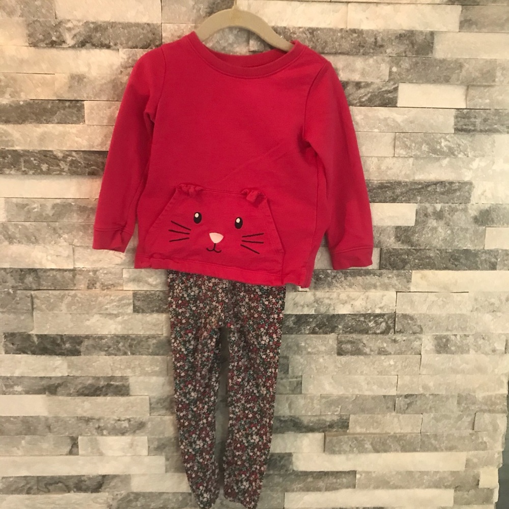Carter’s- Girls Set-Sweatshirt & Leggings